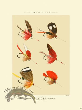 Favorite Flies 10 Lake